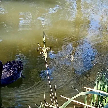 Les Bastides 30282 別荘 グリモー