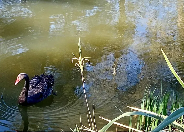 Les Bastides 30282 Prázdninový dům Grimaud